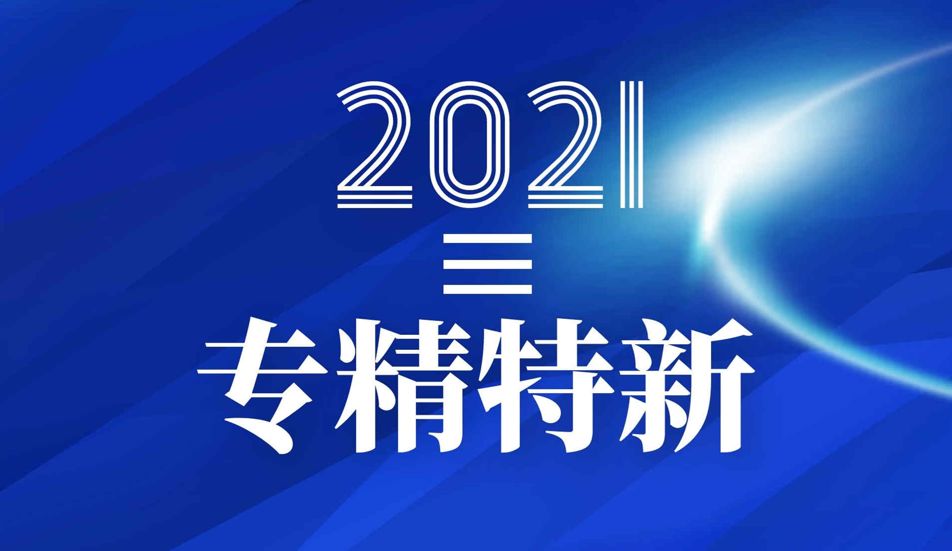 公司荣获2021年广东省专精特新企业